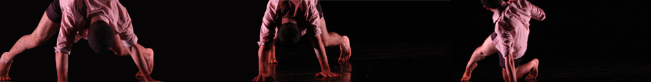 Random header image at Guillermo Ortega Tanus